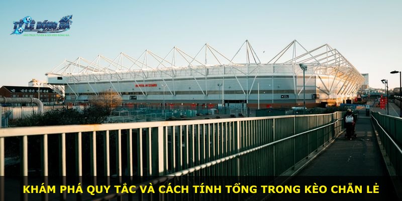 Khám phá quy tắc và cách tính tổng trong kèo chẵn lẻ
