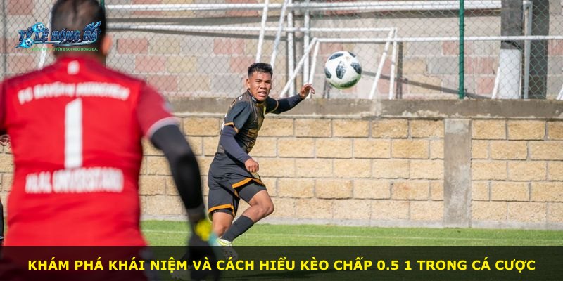 Khám phá khái niệm và cách hiểu kèo chấp 0.5 1 trong cá cược