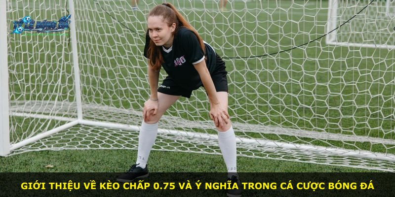 Giới thiệu về kèo chấp 0.75 và ý nghĩa trong cá cược bóng đá