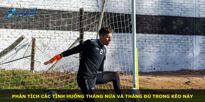 Phân tích các tình huống thắng nửa và thắng đủ trong kèo này