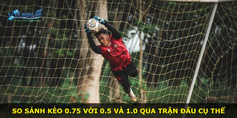 So sánh kèo 0.75 với 0.5 và 1.0 qua trận đấu cụ thể