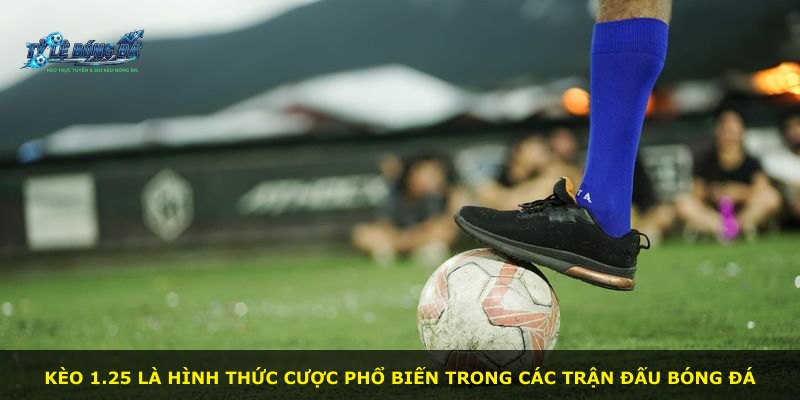 Kèo 1.25 là hình thức cược phổ biến trong các trận đấu bóng đá