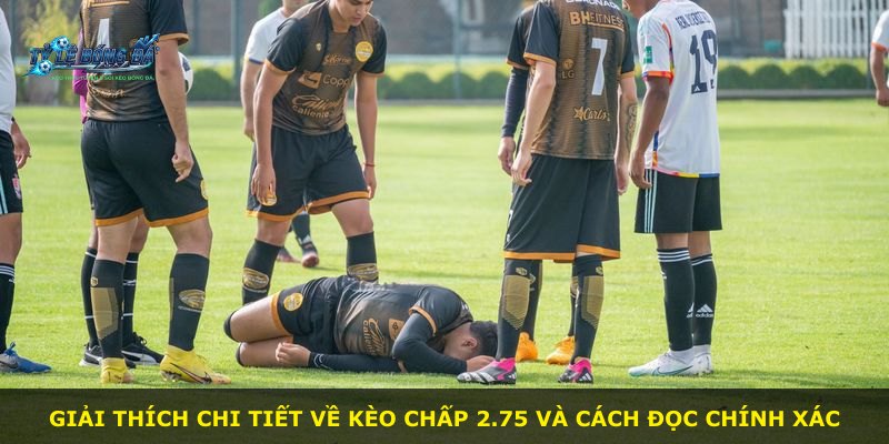 Giải thích chi tiết về kèo chấp 2.75 và cách đọc chính xác