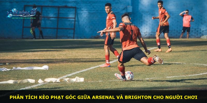 Phân tích kèo phạt góc giữa Arsenal và Brighton cho người chơi