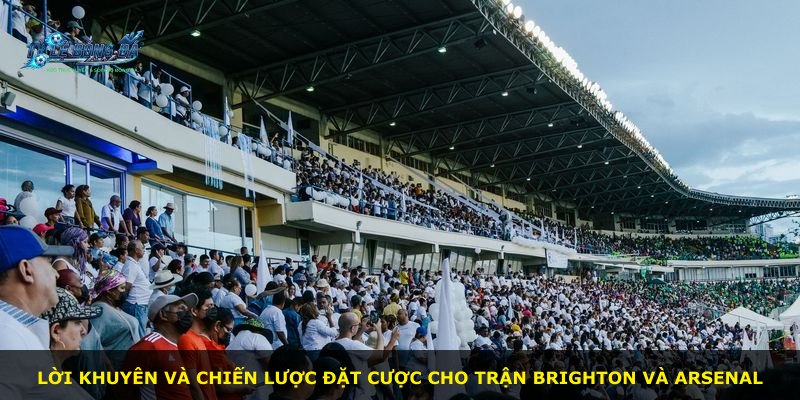 Lời khuyên và chiến lược đặt cược cho trận Brighton và Arsenal