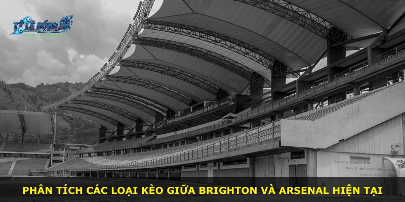 Phân tích các loại kèo giữa Brighton và Arsenal hiện tại