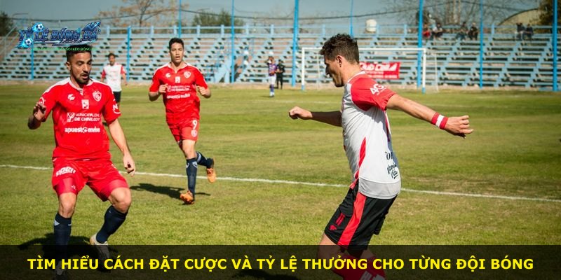 Tìm hiểu cách đặt cược và tỷ lệ thưởng cho từng đội bóng
