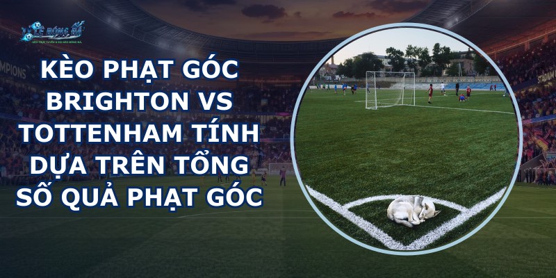 kèo phạt góc Brighton vs Tottenham