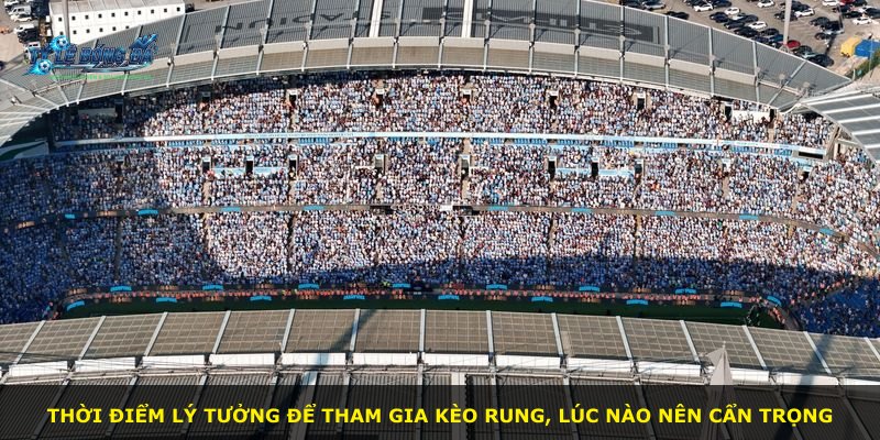 Thời điểm lý tưởng để tham gia kèo rung, lúc nào nên cẩn trọng