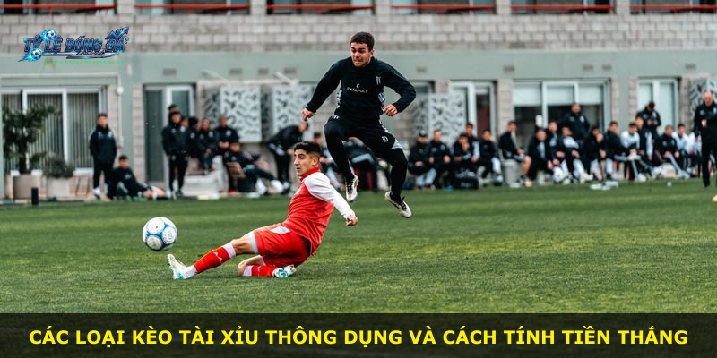 Các loại kèo Tài Xỉu thông dụng và cách tính tiền thắng