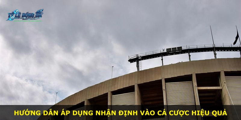 Hướng dẫn áp dụng nhận định vào cá cược hiệu quả