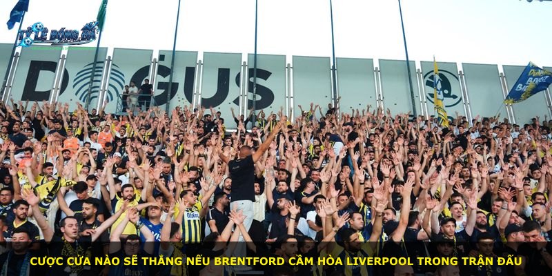 Cược cửa nào sẽ thắng nếu Brentford cầm hòa Liverpool trong trận đấu