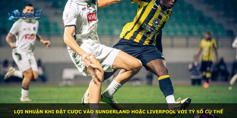 Lợi nhuận khi đặt cược vào Sunderland hoặc Liverpool với tỷ số cụ thể
