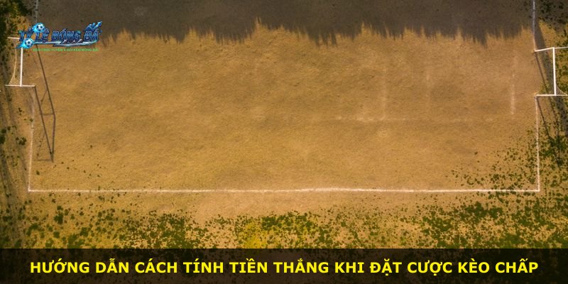 Hướng dẫn cách tính tiền thắng khi đặt cược kèo chấp