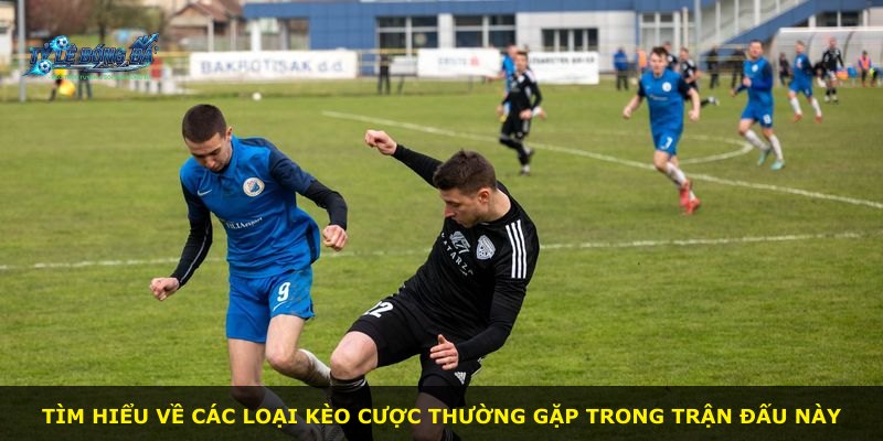 Tìm hiểu về các loại kèo cược thường gặp trong trận đấu này