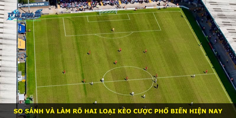 So sánh và làm rõ hai loại kèo cược phổ biến hiện nay