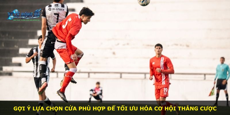 Gợi ý lựa chọn cửa phù hợp để tối ưu hóa cơ hội thắng cược