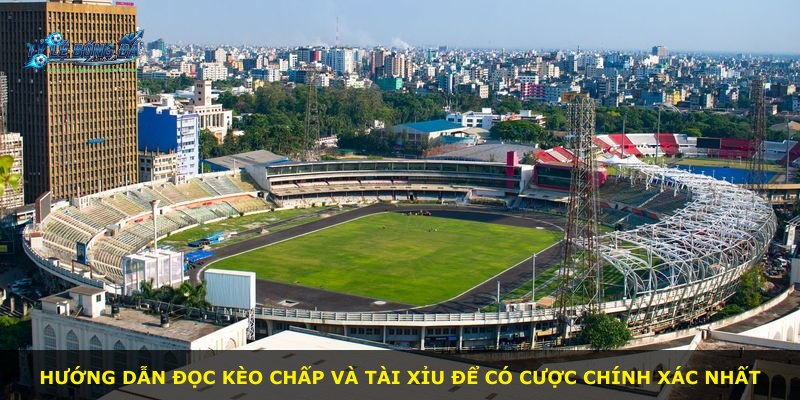 Hướng dẫn đọc kèo chấp và tài xỉu để có cược chính xác nhất