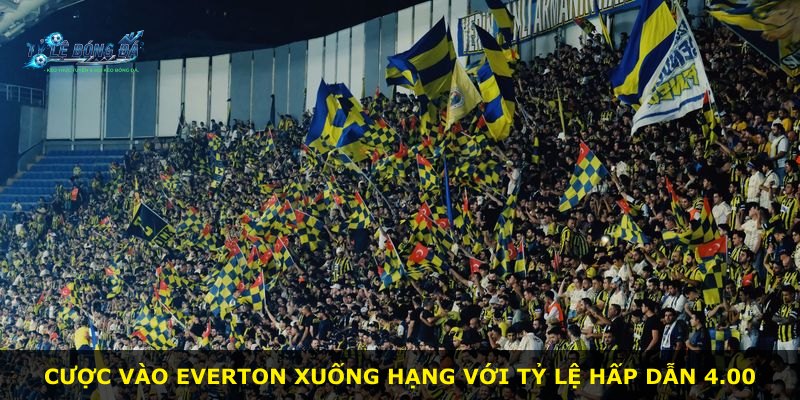 Cược vào Everton xuống hạng với tỷ lệ hấp dẫn 4.00