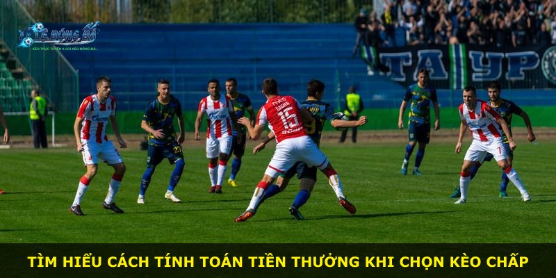Tìm hiểu cách tính toán tiền thưởng khi chọn kèo chấp
