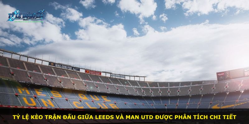 Tỷ lệ kèo trận đấu giữa Leeds và Man Utd được phân tích chi tiết