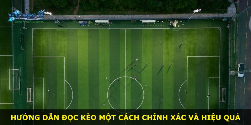 Hướng dẫn đọc kèo một cách chính xác và hiệu quả