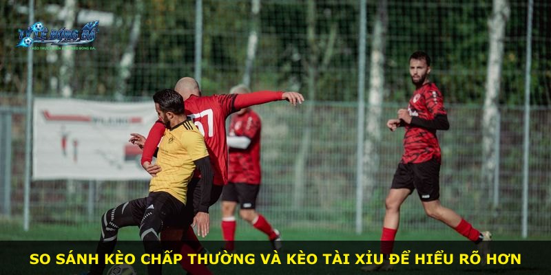 So sánh kèo chấp thường và kèo tài xỉu để hiểu rõ hơn
