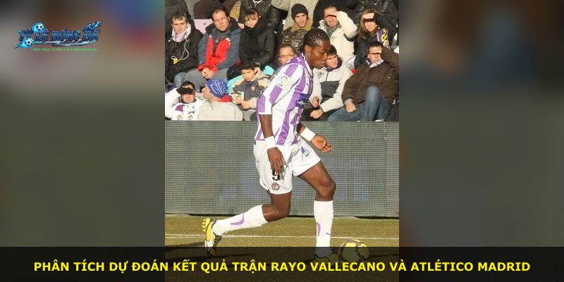 Phân tích dự đoán kết quả trận Rayo Vallecano và Atlético Madrid