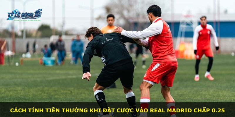 Cách tính tiền thưởng khi đặt cược vào Real Madrid chấp 0.25