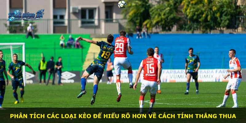 Phân tích các loại kèo để hiểu rõ hơn về cách tính thắng thua