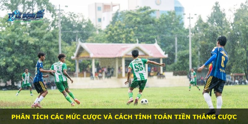 Phân tích các mức cược và cách tính toán tiền thắng cược