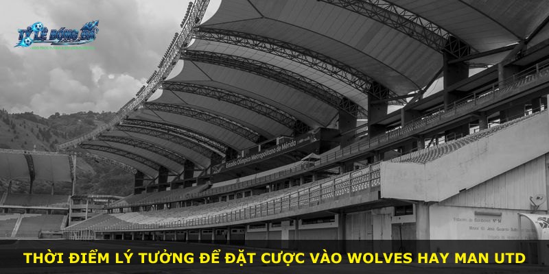 Thời điểm lý tưởng để đặt cược vào Wolves hay Man Utd