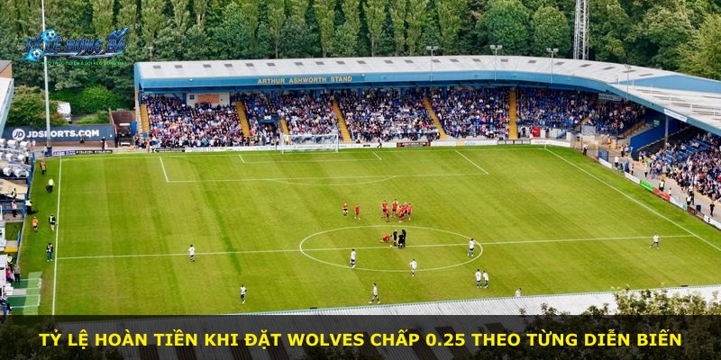 Tỷ lệ hoàn tiền khi đặt Wolves chấp 0.25 theo từng diễn biến