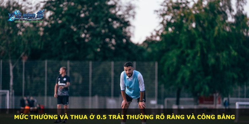 Mức thưởng và thua ở 0.5 Trái thường rõ ràng và công bằng