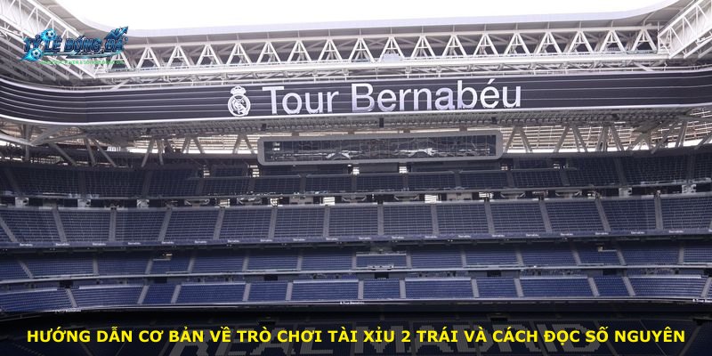 Hướng dẫn cơ bản về trò chơi Tài Xỉu 2 Trái và cách đọc số nguyên