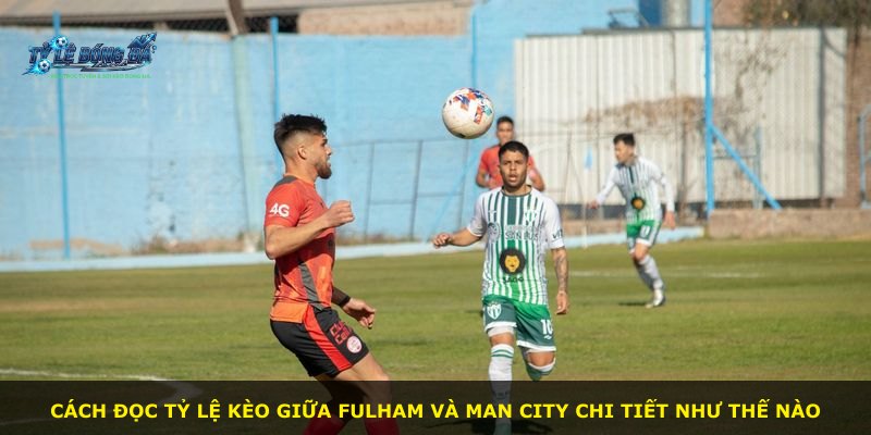Cách đọc tỷ lệ kèo giữa Fulham và Man City chi tiết như thế nào