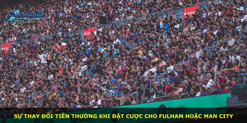 Sự thay đổi tiền thưởng khi đặt cược cho Fulham hoặc Man City