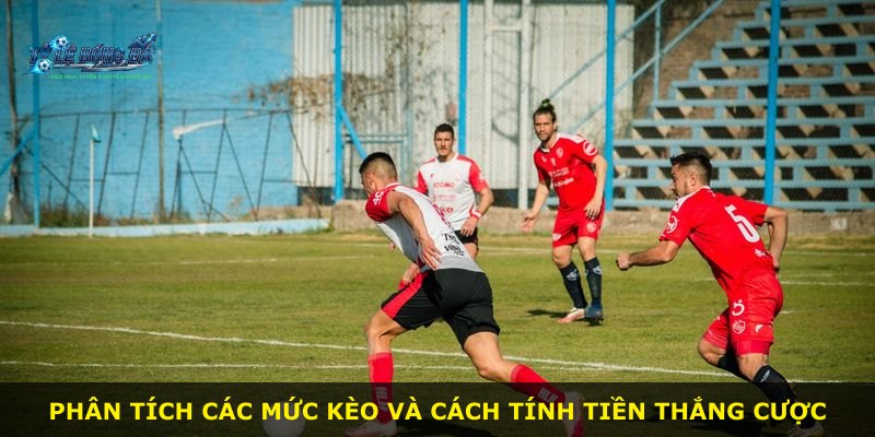 Phân tích các mức kèo và cách tính tiền thắng cược